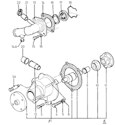 Water Pump & Connections/Thermostat