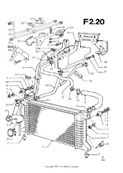 Radiator And Hoses